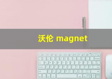 沃伦 magnet